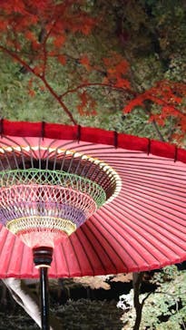 六義園に投稿された画像（2025/11/30）