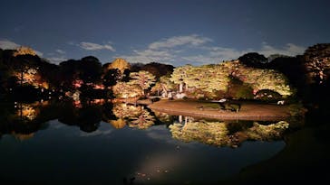 六義園に投稿された画像（2025/11/30）