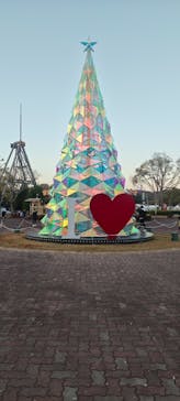 みろくの里に投稿された画像（2025/11/30）