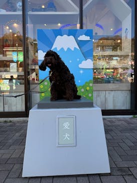 さがみ湖MORI MORIに投稿された画像（2025/11/30）