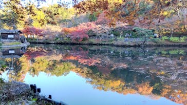 名古屋市東山動植物園に投稿された画像（2025/11/30）