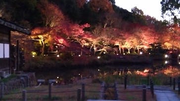 名古屋市東山動植物園に投稿された画像（2025/11/30）