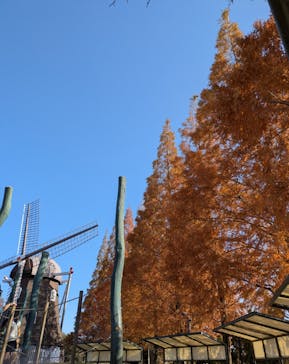 安城産業文化公園デンパークに投稿された画像（2025/11/30）