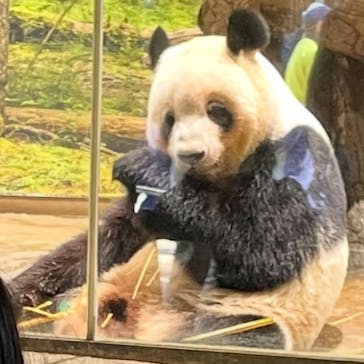 恩賜上野動物園に投稿された画像（2025/11/30）