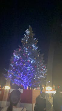 Christmas Market in 横浜赤レンガ倉庫 2025に投稿された画像（2025/11/30）