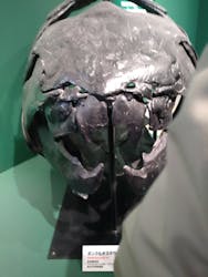 印象派オルセー展×大絶滅展に投稿された画像（2025/11/30）