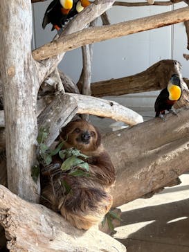 霞ケ浦 どうぶつとみんなのいえに投稿された画像（2025/11/30）
