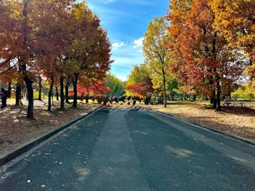 万博記念公園に投稿された画像（2025/11/30）