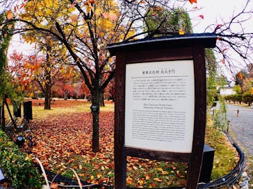 元離宮二条城に投稿された画像（2025/11/30）