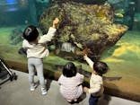 九十九島水族館海きららに投稿された画像（2025/11/30）