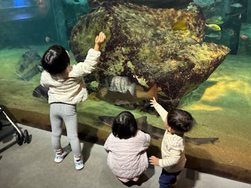 九十九島水族館海きららに投稿された画像（2025/11/30）