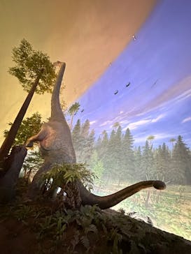 福井県立恐竜博物館に投稿された画像（2025/11/30）