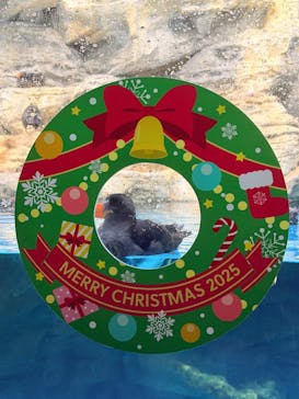 アクアワールド茨城県大洗水族館に投稿された画像（2025/11/30）