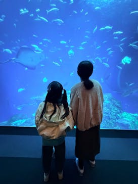 アクアワールド茨城県大洗水族館に投稿された画像（2025/11/30）