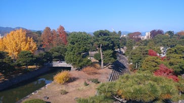 元離宮二条城に投稿された画像（2025/11/30）