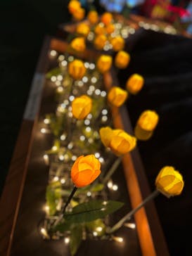 東京メガイルミに投稿された画像（2025/11/30）