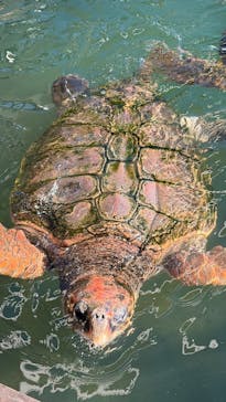 串本海中公園水族館に投稿された画像（2025/11/30）