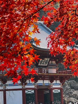 勝尾寺に投稿された画像（2025/11/30）