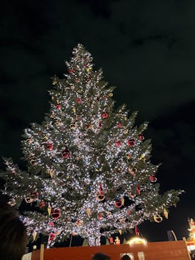 Christmas Market in 横浜赤レンガ倉庫 2025に投稿された画像（2025/11/30）