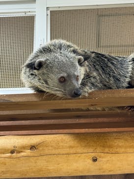 アニタッチ MARK IS 静岡に投稿された画像（2025/11/30）