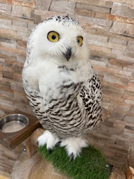 アニタッチ MARK IS 静岡に投稿された画像（2025/11/30）