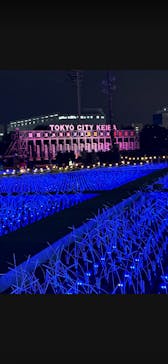 東京メガイルミに投稿された画像（2025/11/30）