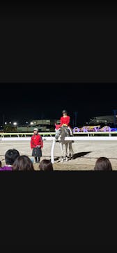 東京メガイルミに投稿された画像（2025/11/30）