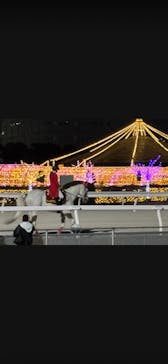 東京メガイルミに投稿された画像（2025/11/30）