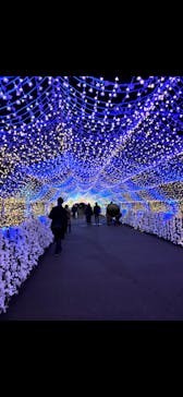 東京メガイルミに投稿された画像（2025/11/30）