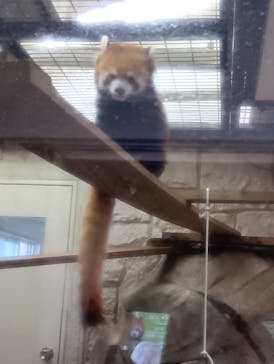 天王寺動物園に投稿された画像（2025/11/30）