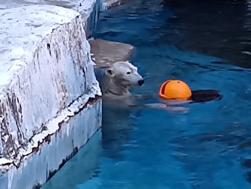 天王寺動物園に投稿された画像（2025/11/30）