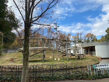 多摩動物公園に投稿された画像（2025/11/30）