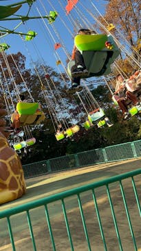 名古屋市東山動植物園に投稿された画像（2025/11/30）