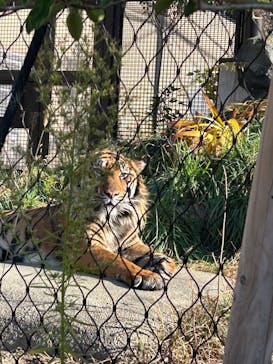 名古屋市東山動植物園に投稿された画像（2025/11/30）