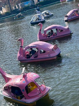 名古屋市東山動植物園に投稿された画像（2025/11/30）