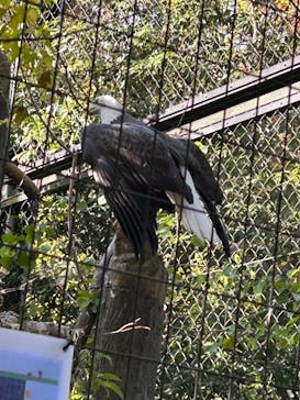 名古屋市東山動植物園に投稿された画像（2025/11/30）