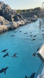 葛西臨海水族園に投稿された画像（2025/11/30）