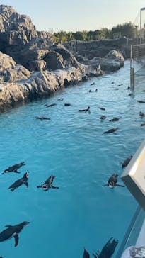 葛西臨海水族園に投稿された画像（2025/11/30）