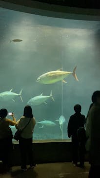 葛西臨海水族園に投稿された画像（2025/11/30）