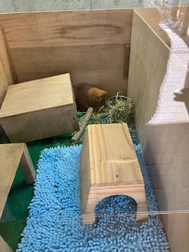 天王寺動物園に投稿された画像（2025/11/30）