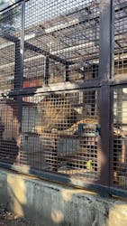 宇都宮動物園に投稿された画像（2025/11/30）