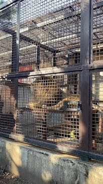 宇都宮動物園に投稿された画像（2025/11/30）