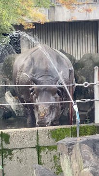 名古屋市東山動植物園に投稿された画像（2025/11/30）