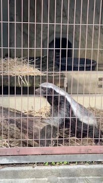 名古屋市東山動植物園に投稿された画像（2025/11/30）