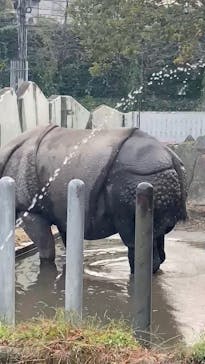 名古屋市東山動植物園に投稿された画像（2025/11/30）