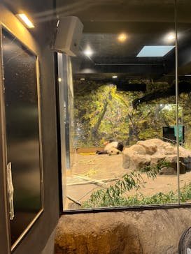 恩賜上野動物園に投稿された画像（2025/11/30）