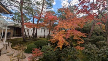 足立美術館に投稿された画像（2025/11/30）