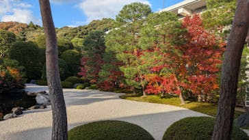 足立美術館に投稿された画像（2025/11/30）