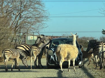 東北サファリパークに投稿された画像（2025/11/30）
