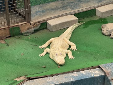 東北サファリパークに投稿された画像（2025/11/30）